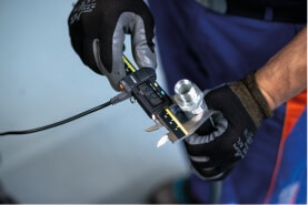 Pulizia e marchiatura Grassi